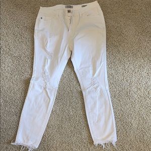 Never worn Judy Blue jeans!